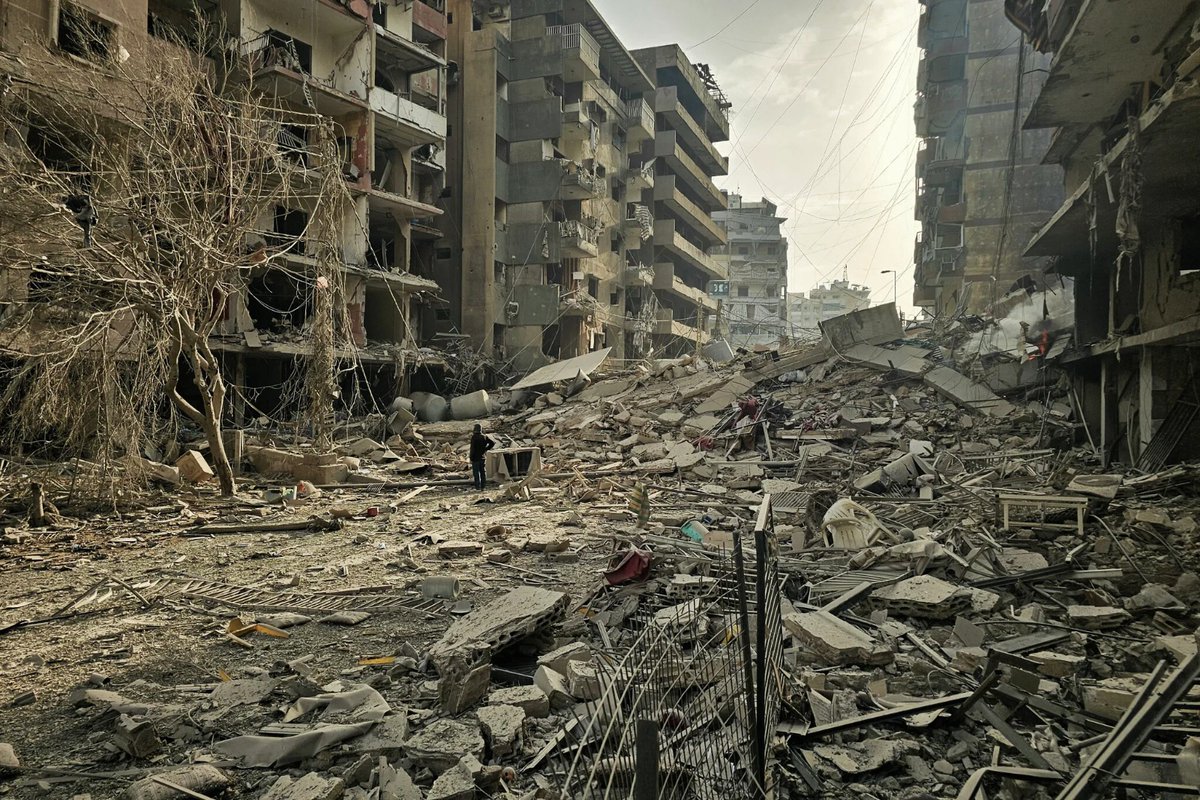 Mario Nawfal tweet media