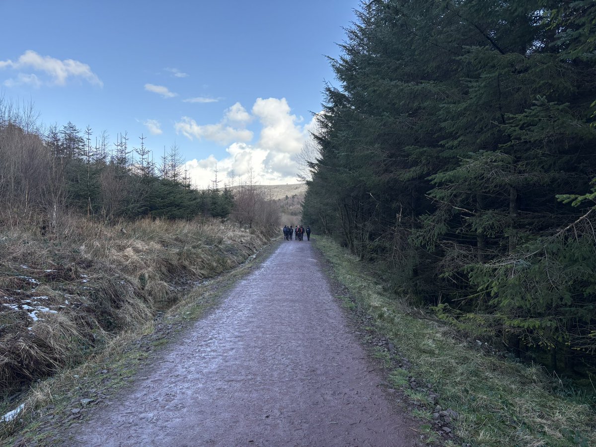 Adventure Academy tweet media