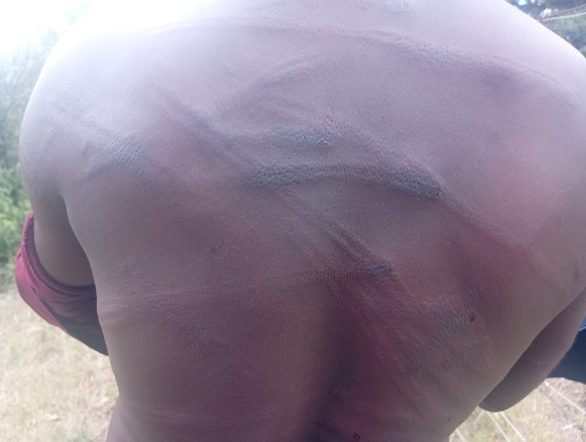 Amalgamated Rural Teachers Union of Zimbabwe,ARTUZ tweet media