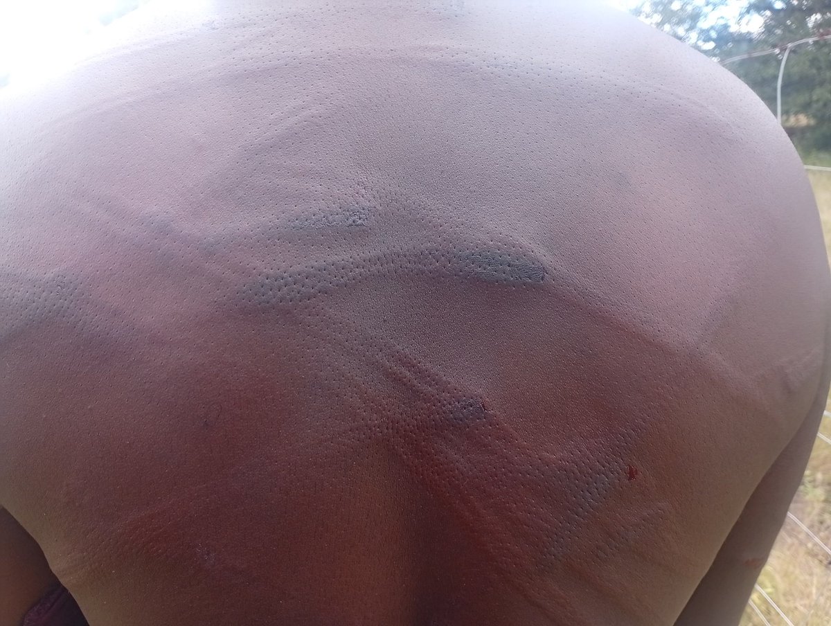 Amalgamated Rural Teachers Union of Zimbabwe,ARTUZ tweet media