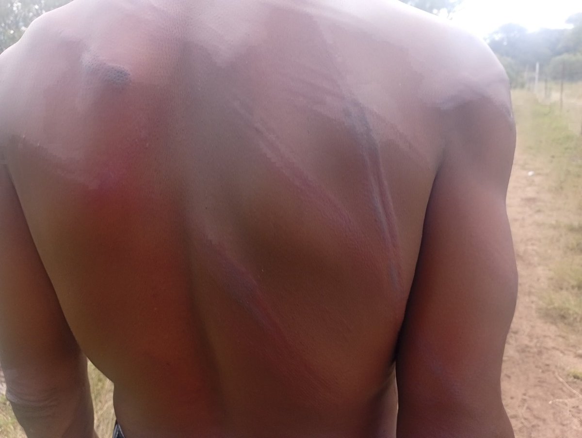 Amalgamated Rural Teachers Union of Zimbabwe,ARTUZ tweet media