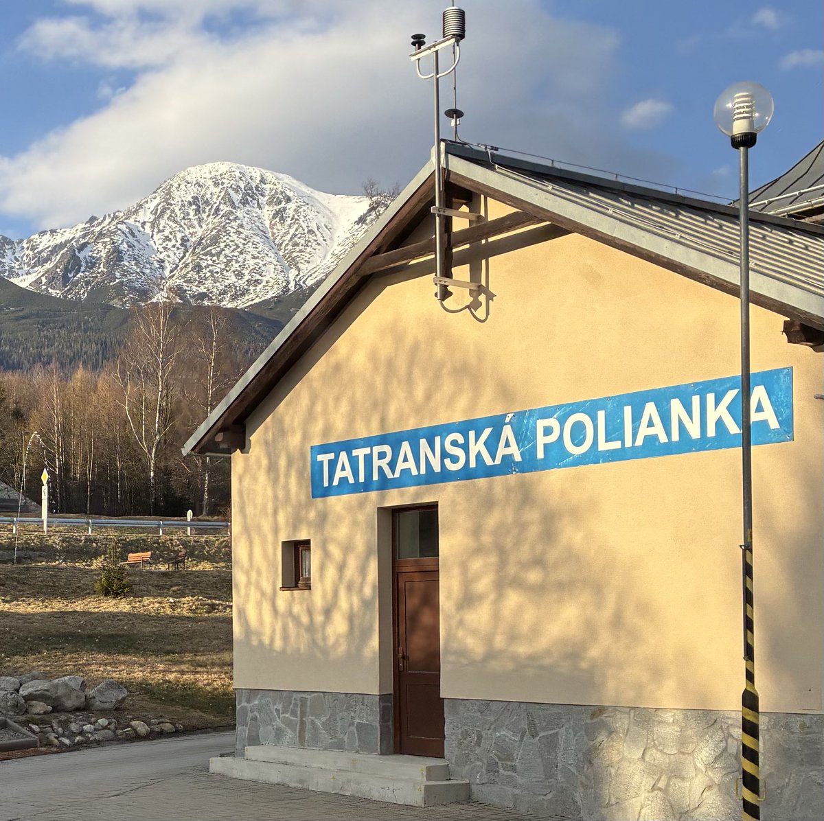 Bart - triptailor | #letmeentertrainyou tweet media