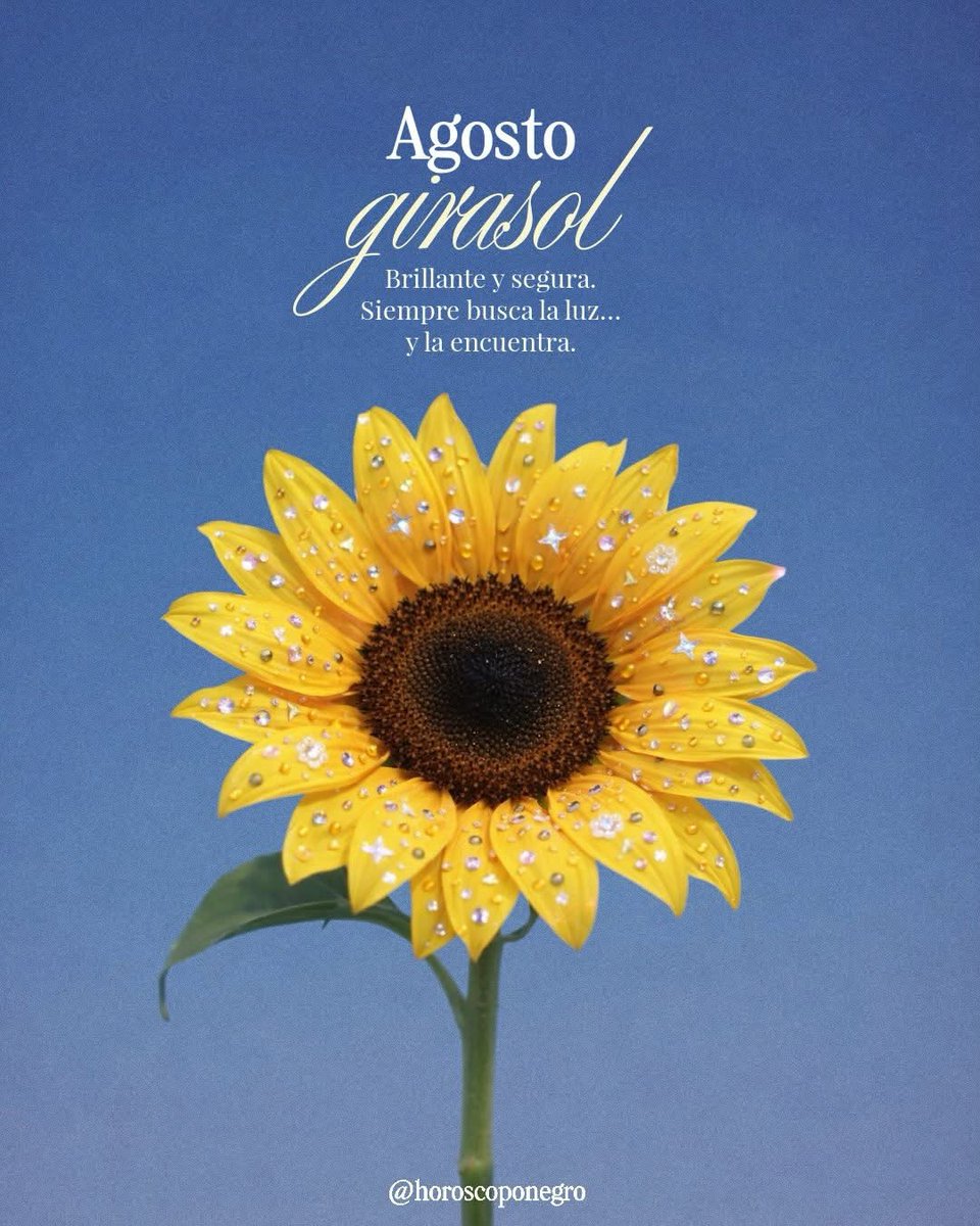 virgo_hn's tweet photo. Deja en comentarios qué flor te ha tocado 💐💬 https://t.co/2ewr8Kd7HX