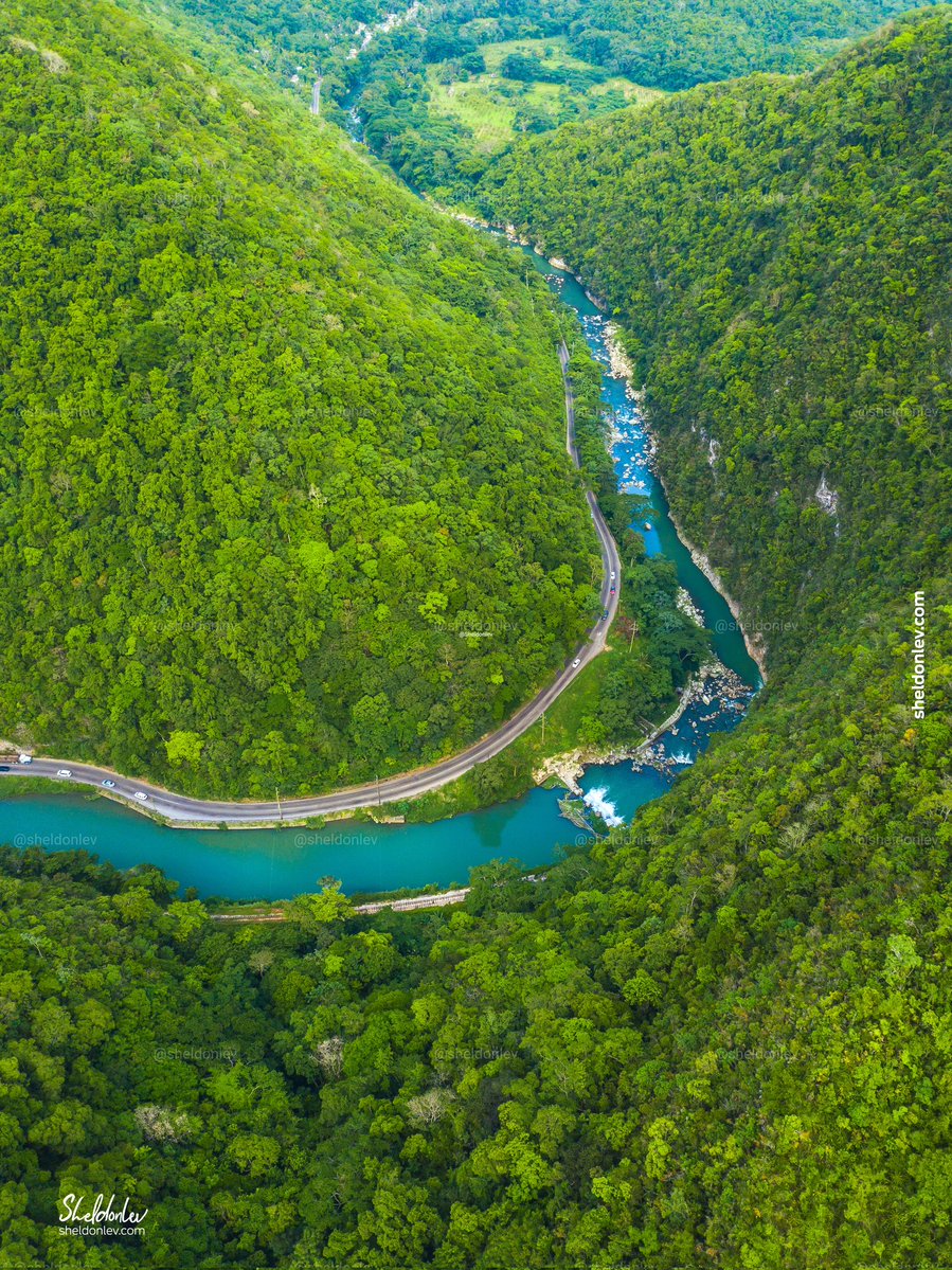 Sheldon Levene tweet media