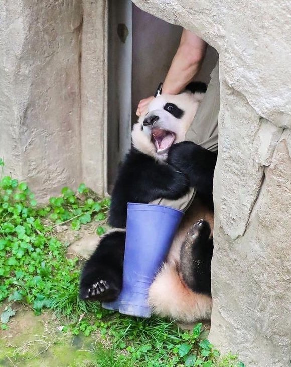 いしいゆうき tweet media