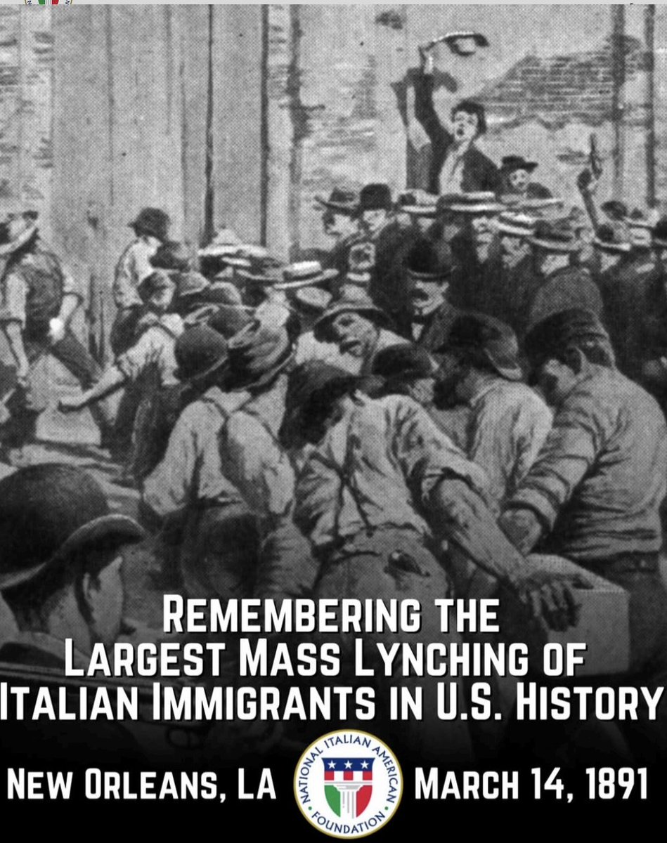 Michael Rulli tweet media