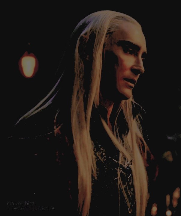 𝐓𝐇𝐄 𝐄𝐋𝐅 𝐊𝐈𝐍𝐆 tweet media