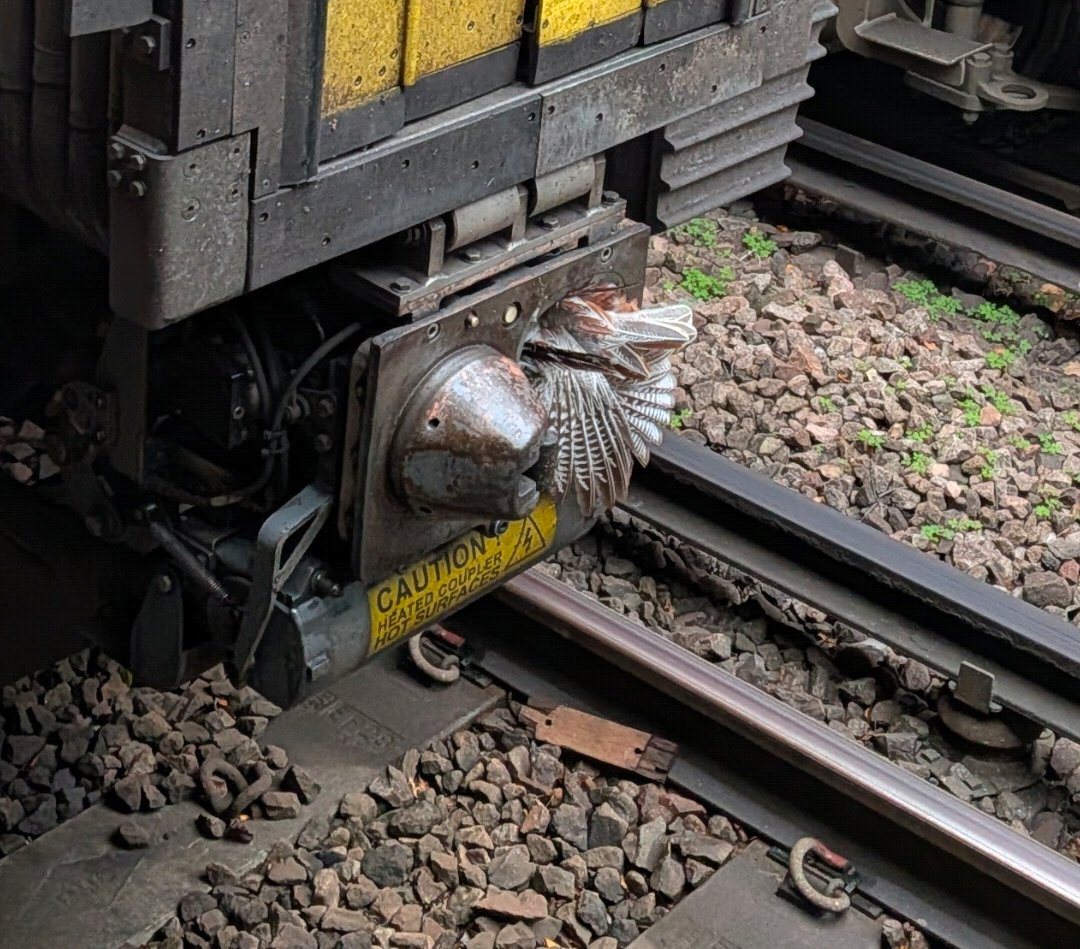 James G H Bray tweet media