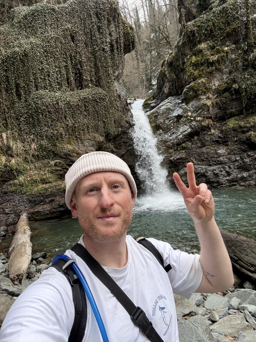 David Harrison tweet media