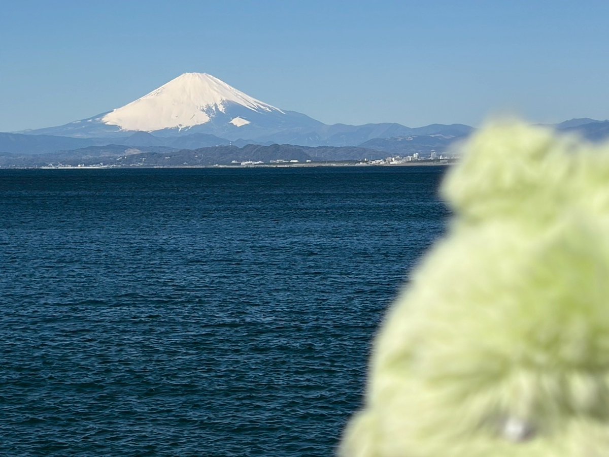 石黒 光 tweet media