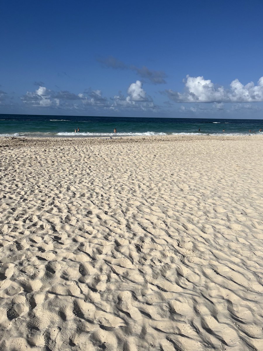 Singapore Aki🇸🇬 tweet media