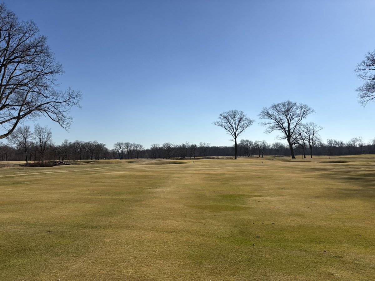 Tyler Bloom tweet media