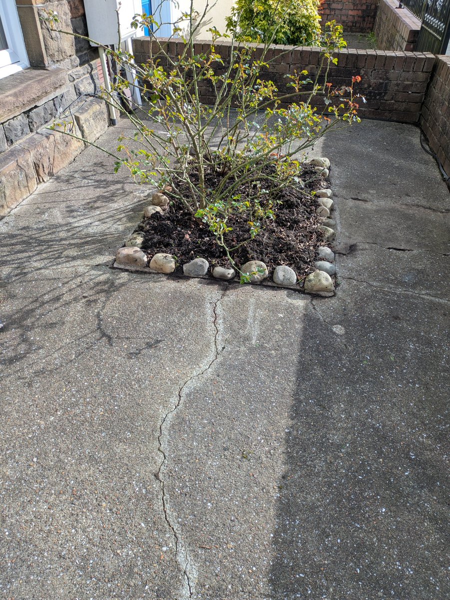 Sue Denim 🎩🐙 tweet media