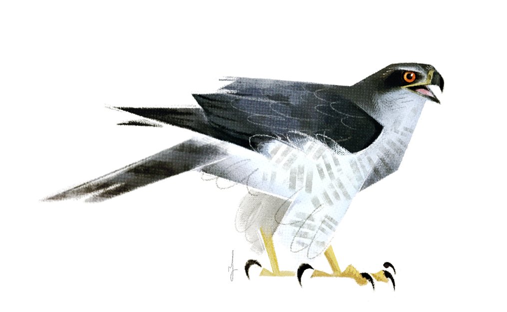 Skia𓅃 tweet media