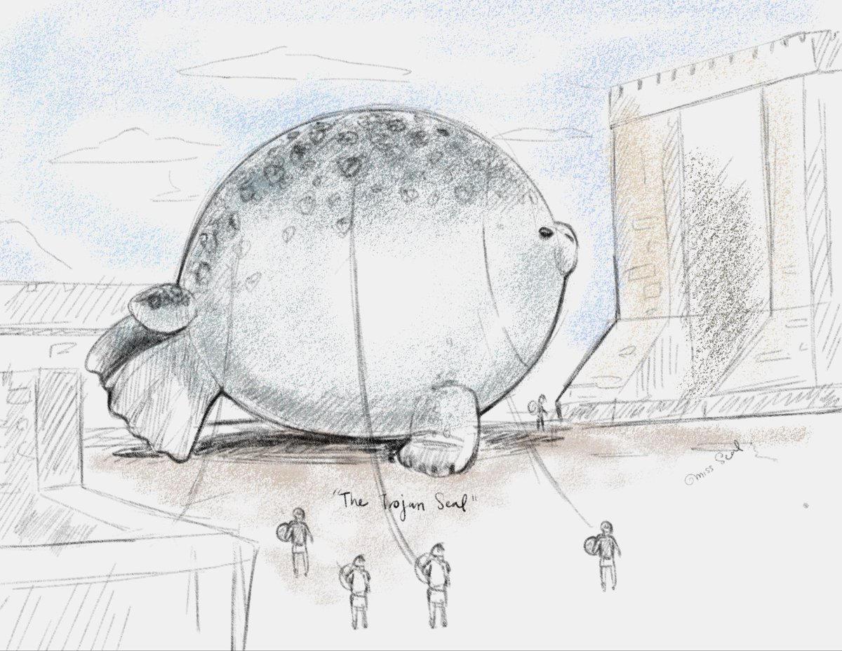 Miss_seal🦭 tweet media