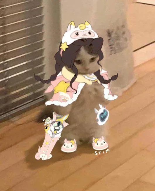 Illari is love, Illari is life! If you didn’t already the time to vote and support the Sun Queen is NOW!!
#Overwatch