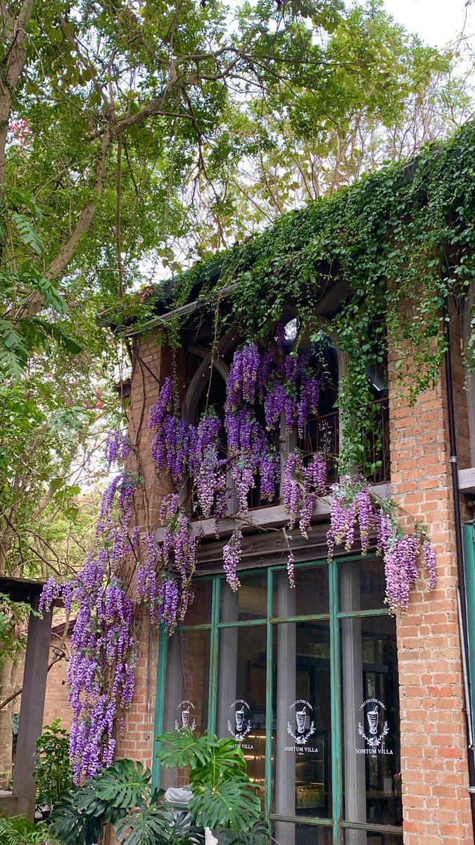 TOP JARUKIT tweet media