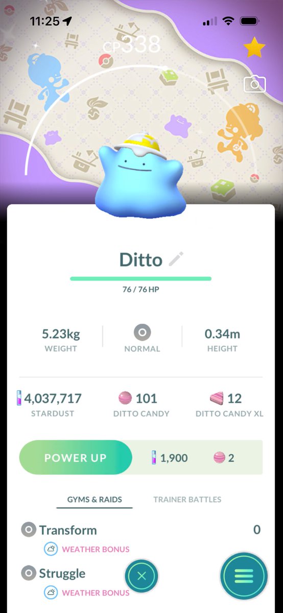 TheDukeOfRhac's tweet photo. shiny ditto with a background!!!! i'm so excited , i never get any cool shinies 💙 #pokemongo https://t.co/Fday4krlIn