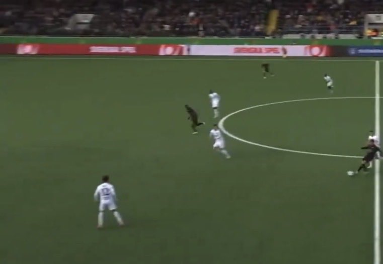 Pooked  tweet media