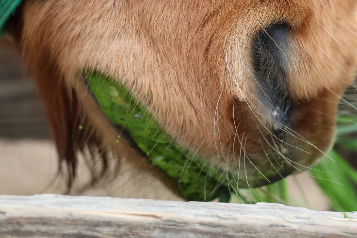 たかぴぃ❤ tweet media