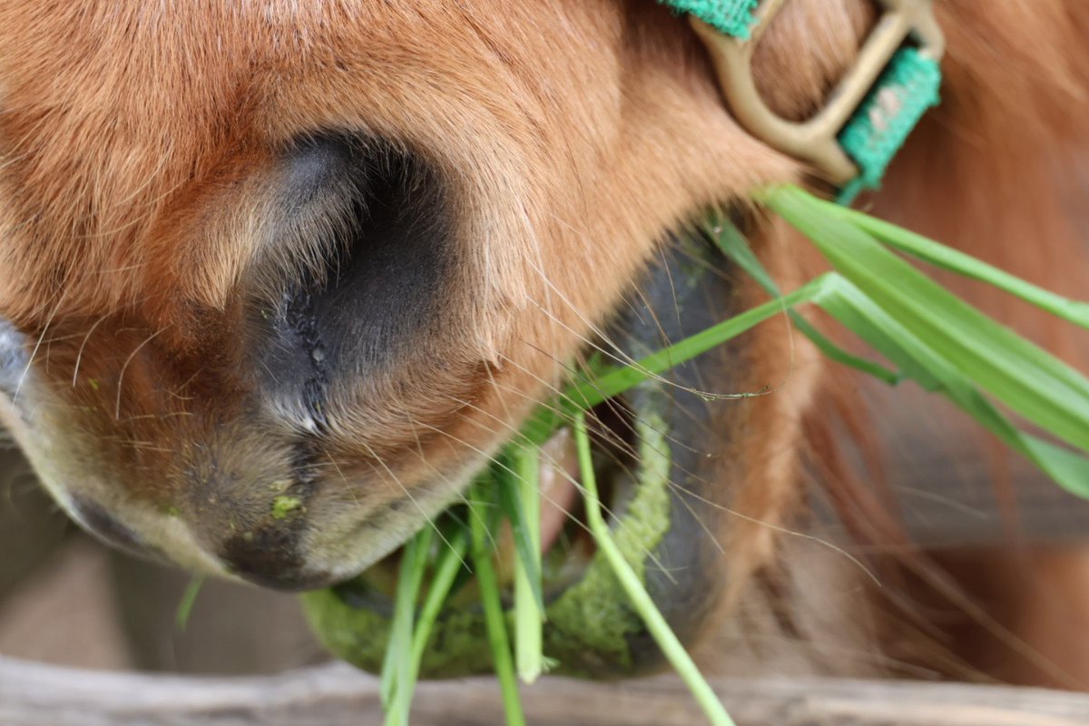 たかぴぃ❤ tweet media