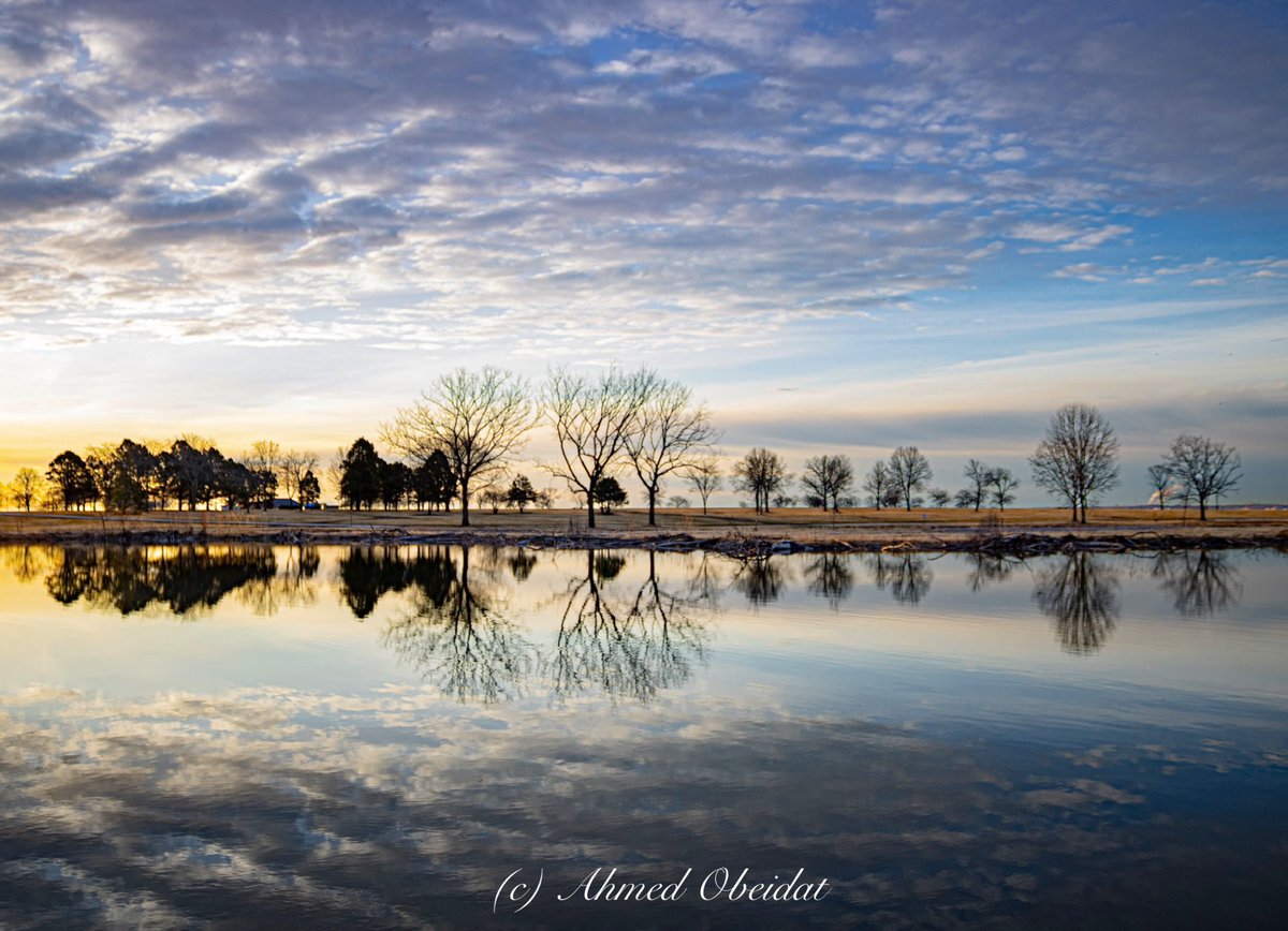 Sightings_of_the_Day tweet media