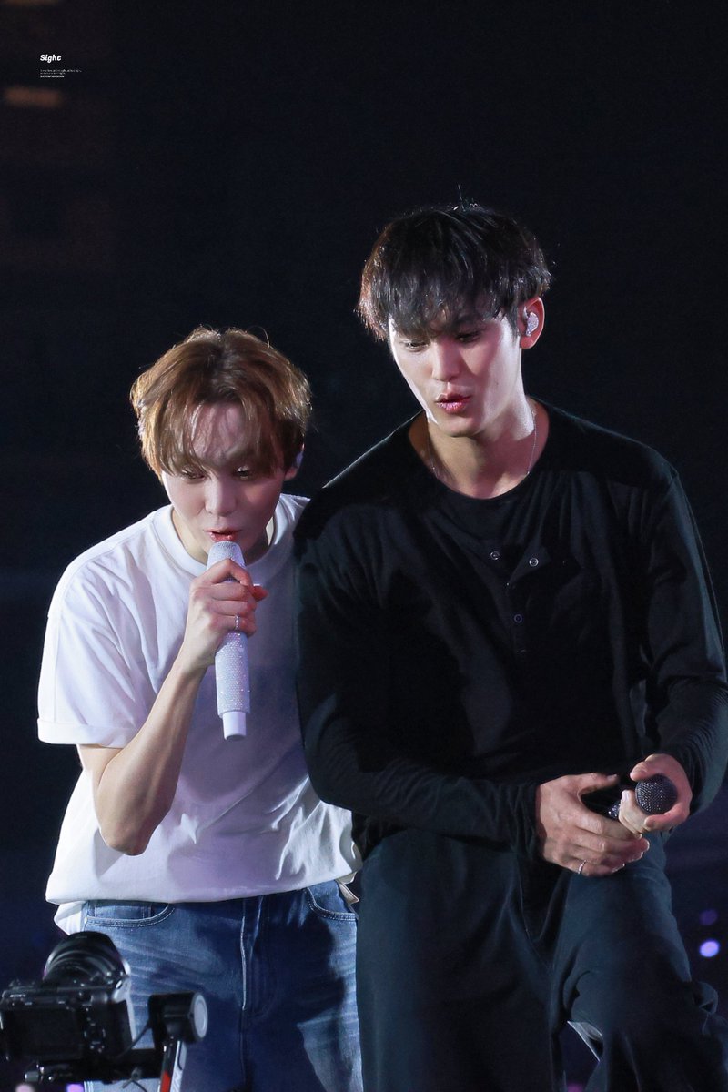 𝑠𝑖𝑔ℎ𝑡 tweet media