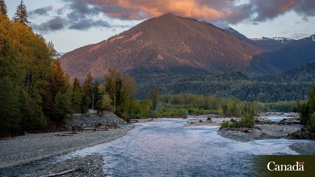 DFO Pacific tweet media