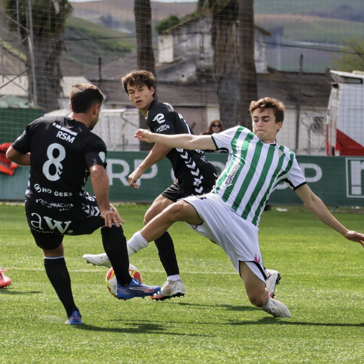 ๐ฒ๐๐๐๐๐๐ Cรณrdoba CF tweet media