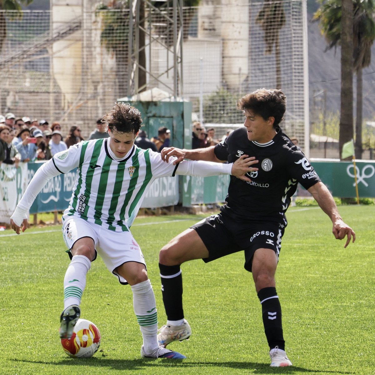 ๐ฒ๐๐๐๐๐๐ Cรณrdoba CF tweet media