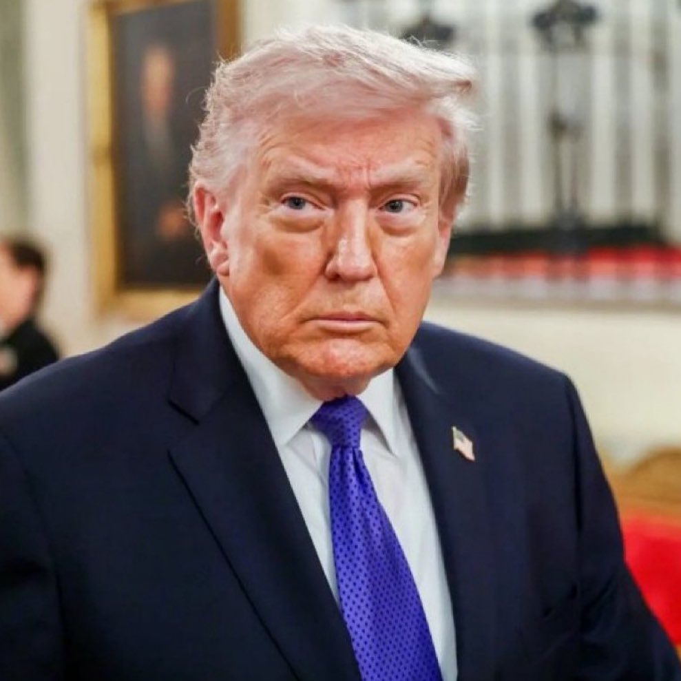 International Cables Network tweet media