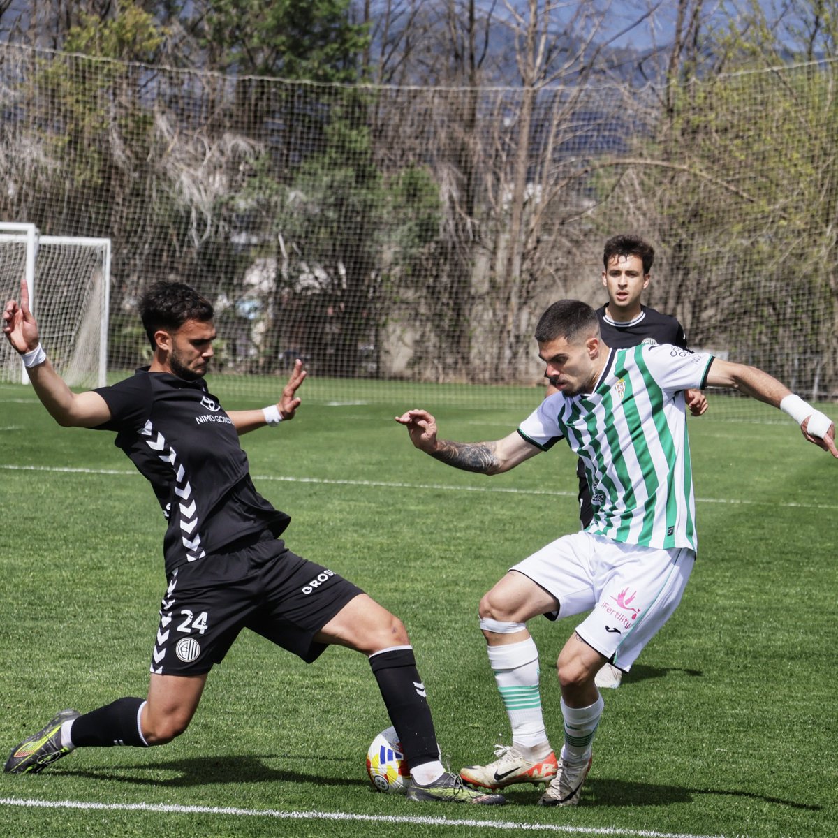 ๐ฒ๐๐๐๐๐๐ Cรณrdoba CF tweet media