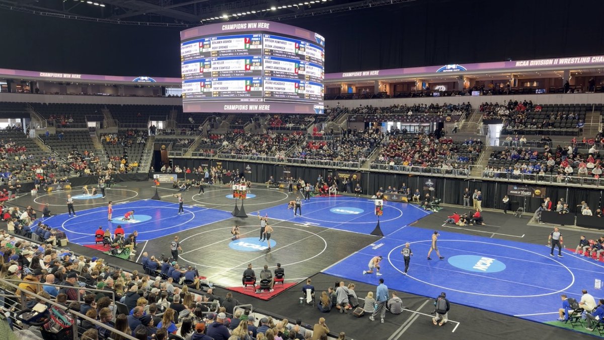 Luke Groth tweet media