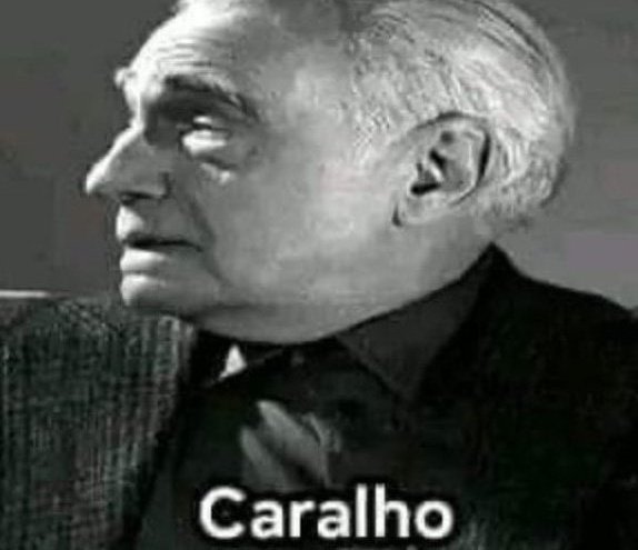 Mulher com ego frágil concordando em dar todos os seus dados na bandeja pra um estado que te investiga por meme, porque uma criança aleatória xingou ela num joguinho, o voto dela tem o mesmo peso que o seu