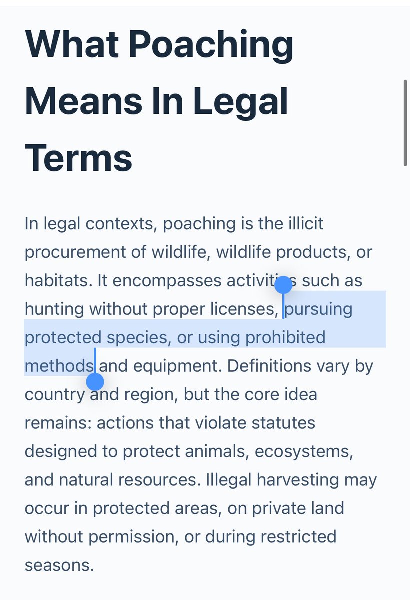 spencer 🦈 tweet media