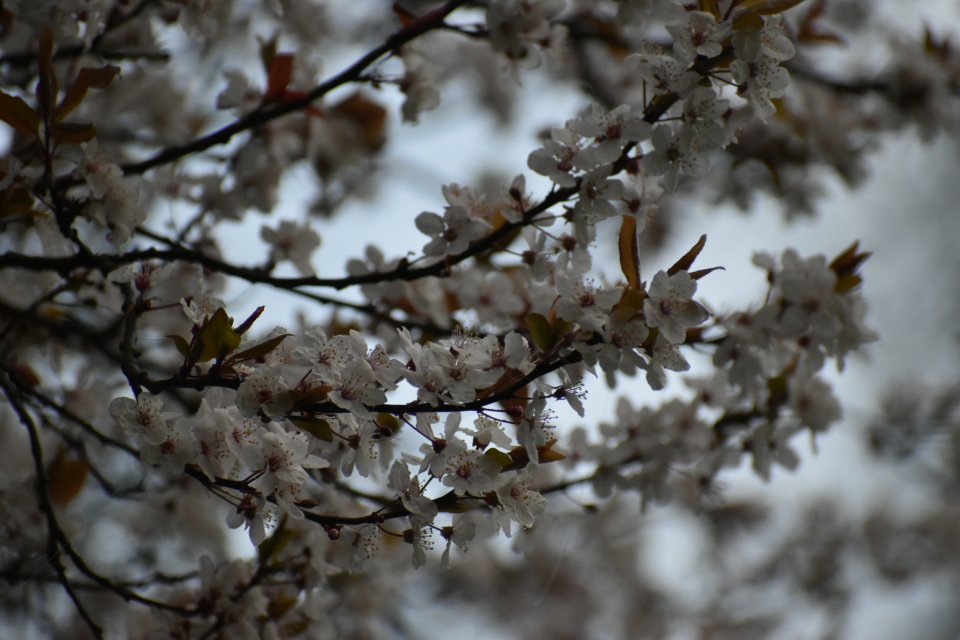 Janette Hall86 tweet media