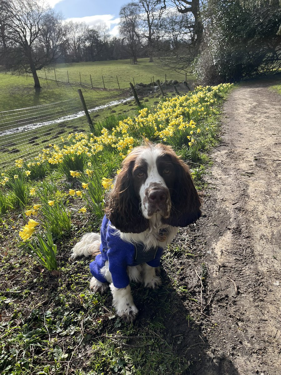 EDDIE Heir 2 AdsDogCharlie tweet media
