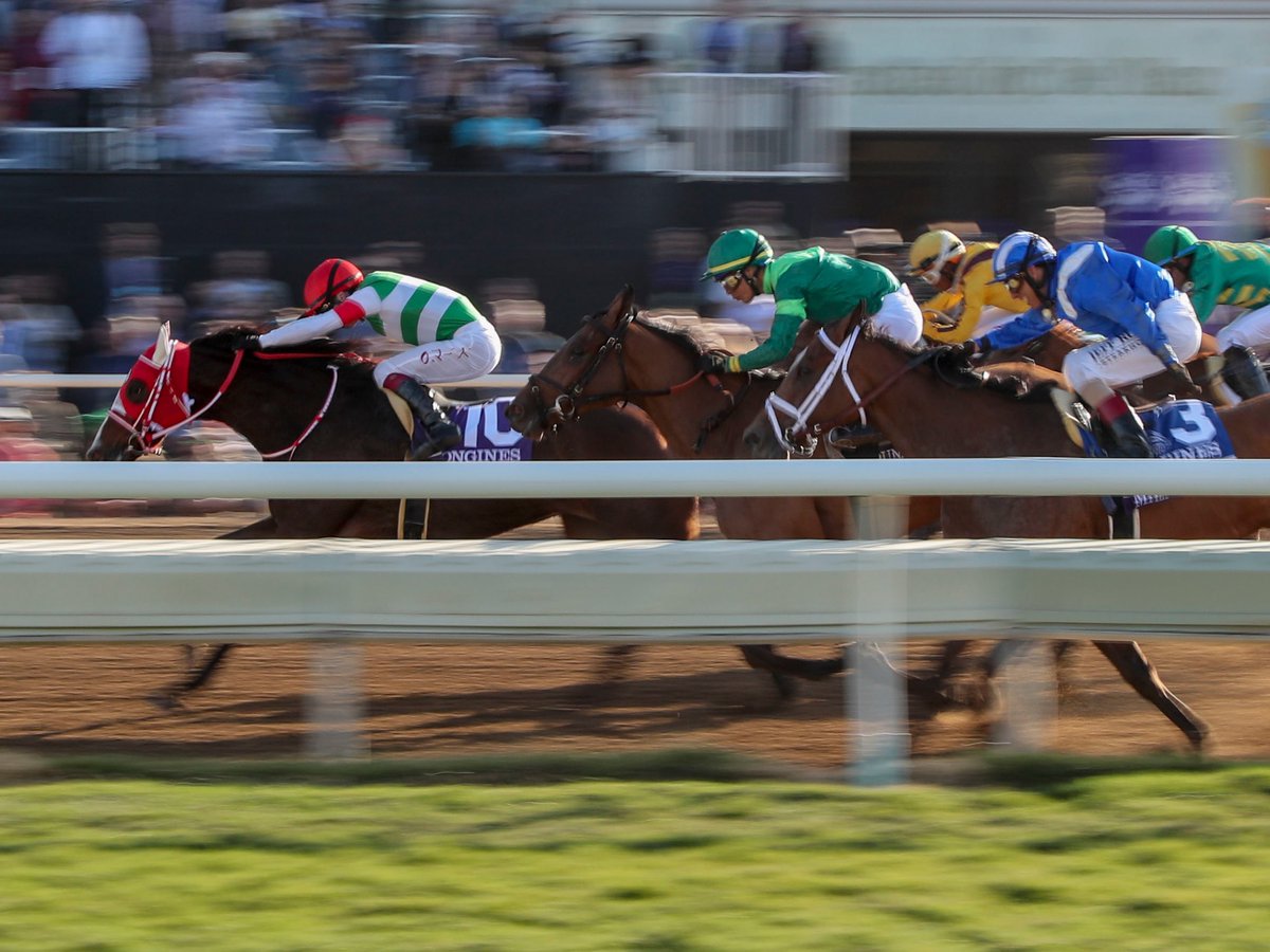 Breeders' Cup tweet media