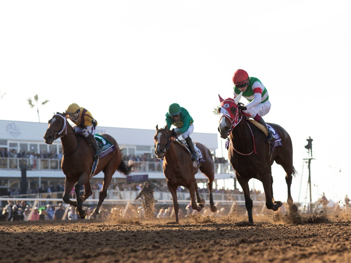 Breeders' Cup tweet media