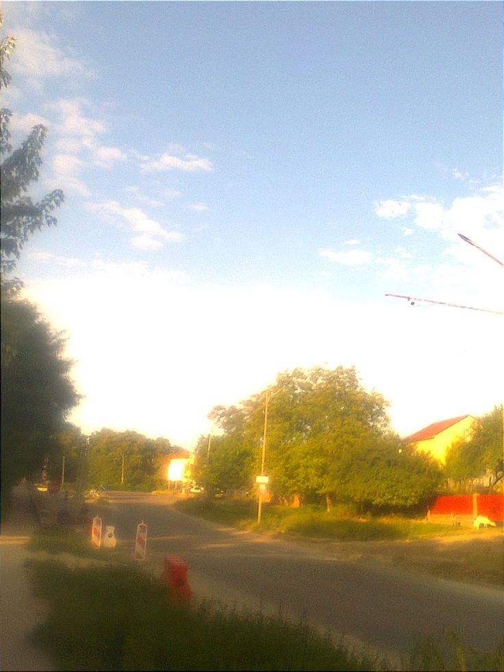 rust cohle tweet media