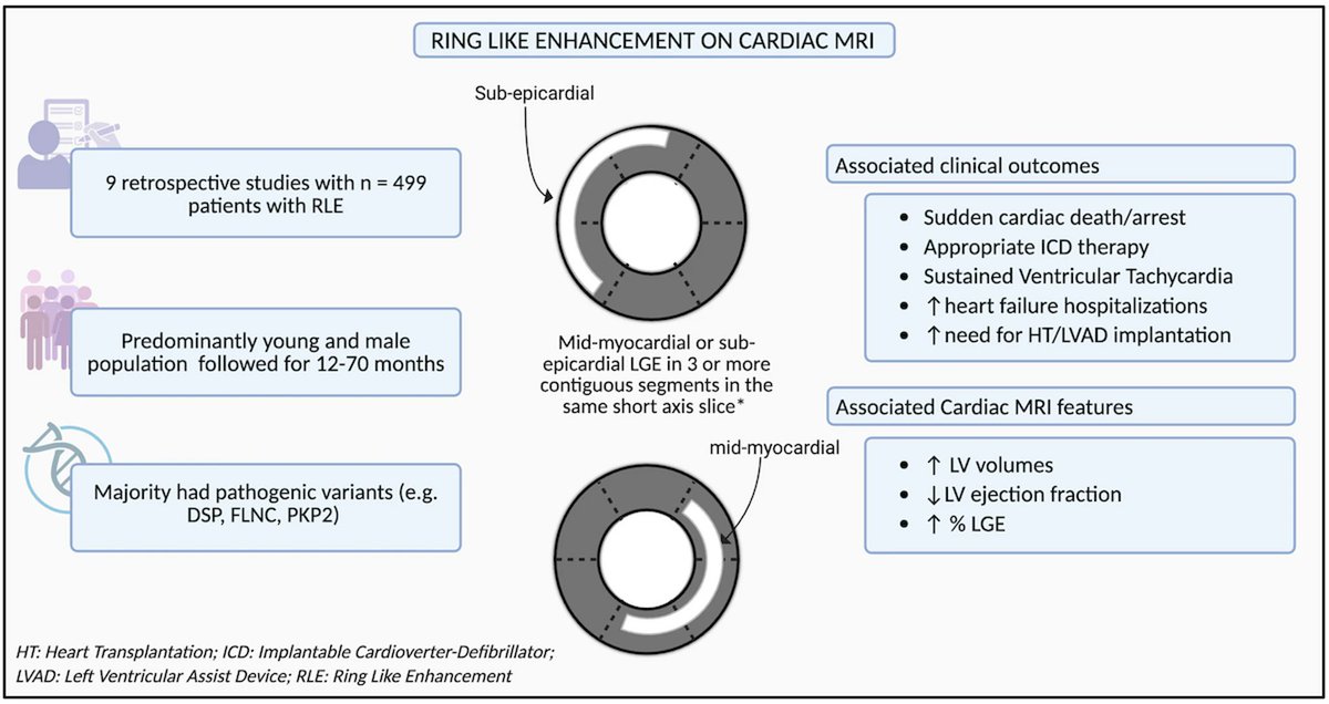 Divyanshu Mohananey tweet media