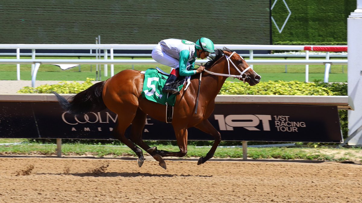 Gulfstream Park tweet media