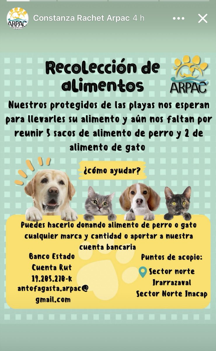 zig1758's tweet photo. 🆘🆘🆘🆘🆘🆘🆘🆘🆘🆘🆘🆘🆘#Antofagasta https://t.co/G3maWDYx9v