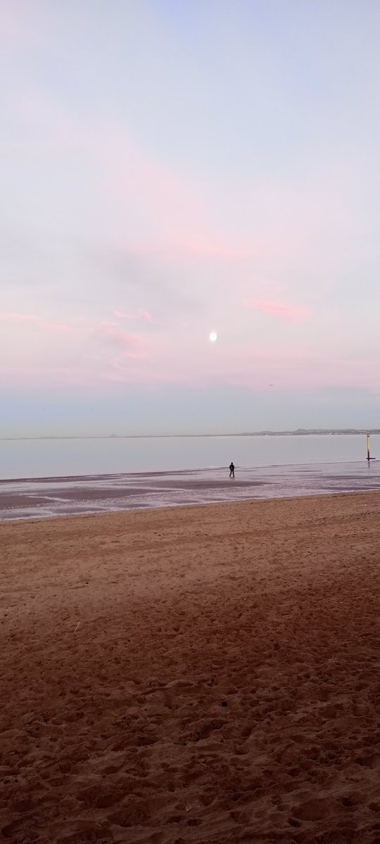 🪽Aurora👼🪽🎗️🐝🎗️ tweet media