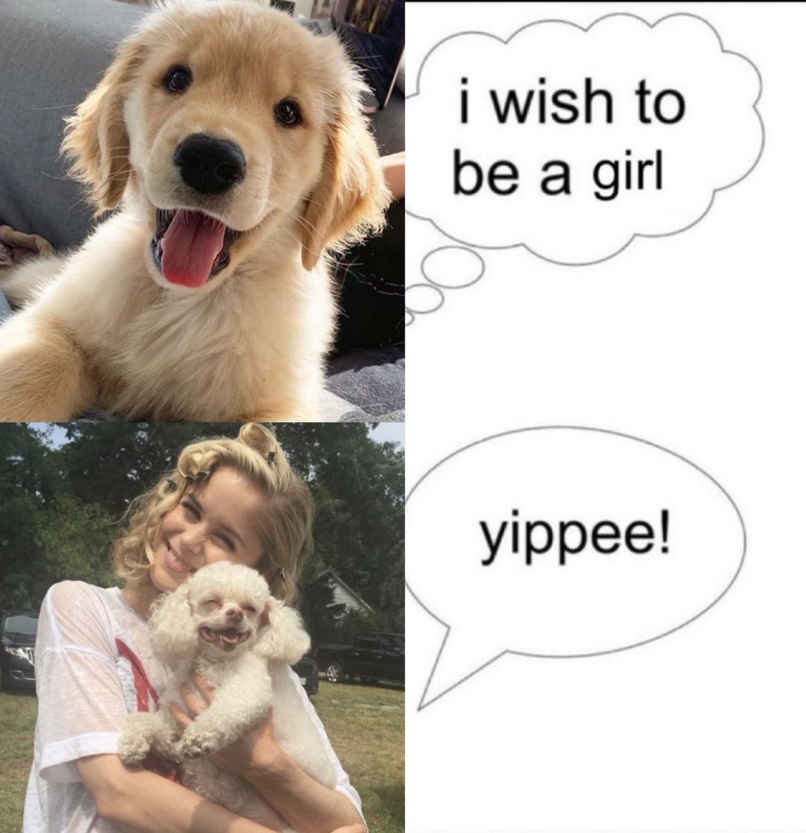 gigi (@shivroygirl) on Twitter photo 