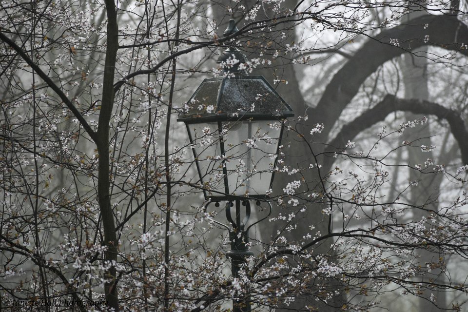 Janette Hall86 tweet media