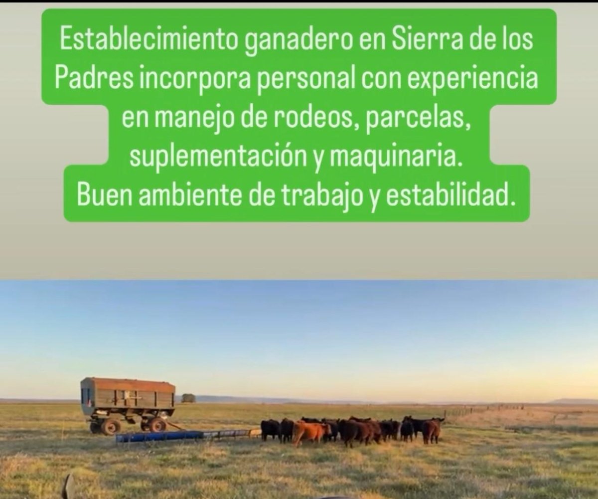 Lagunero tweet media