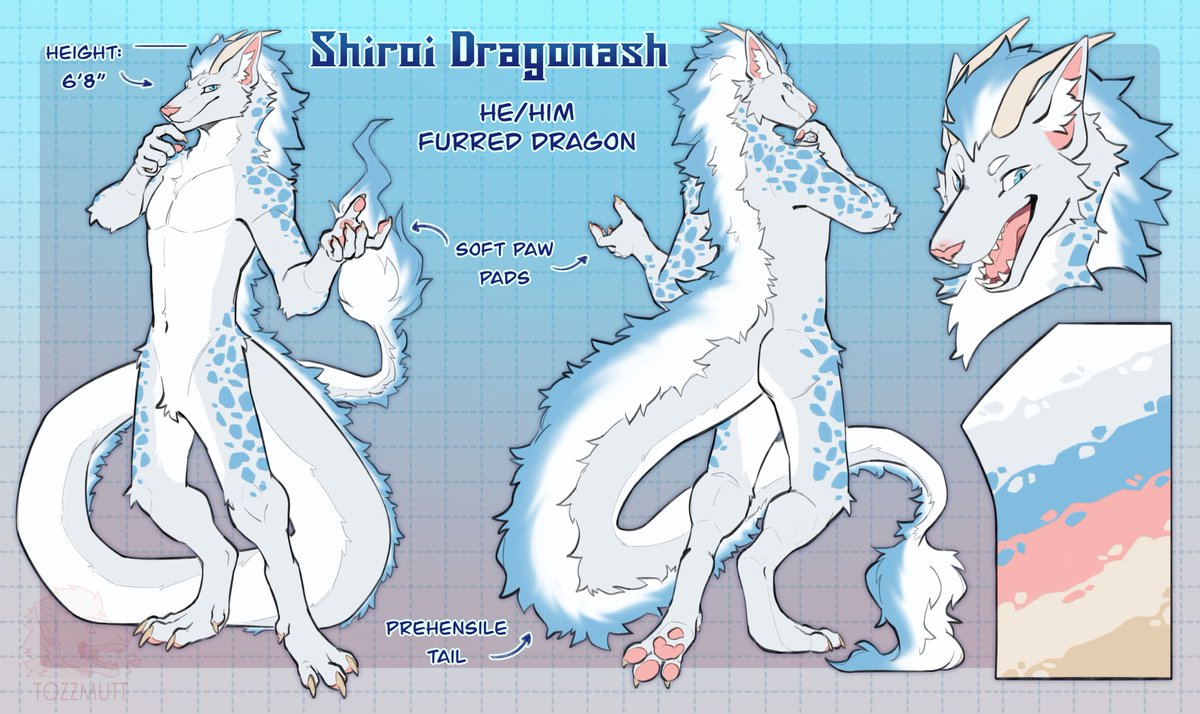 Shiroi Dragon tweet media