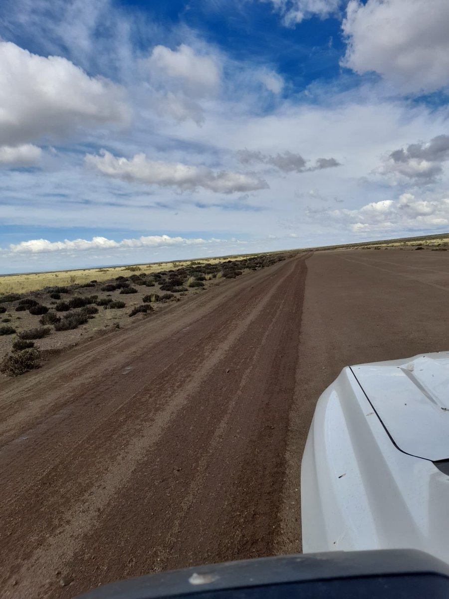 Martin Varsavsky tweet media