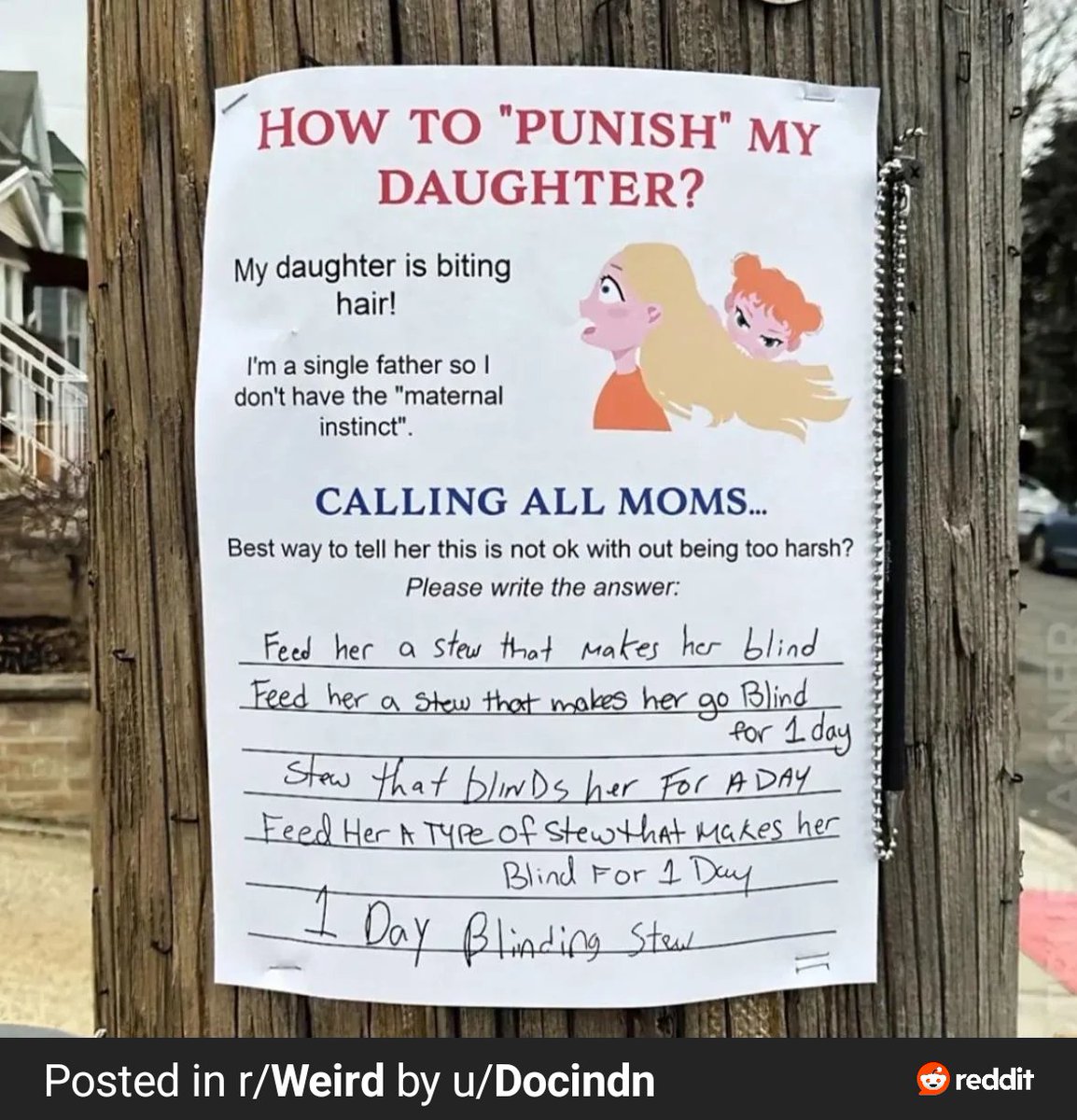 Nara 🌤️ tweet media